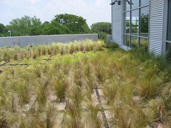 Gardens on Tour 2007: Stratus green-roof garden